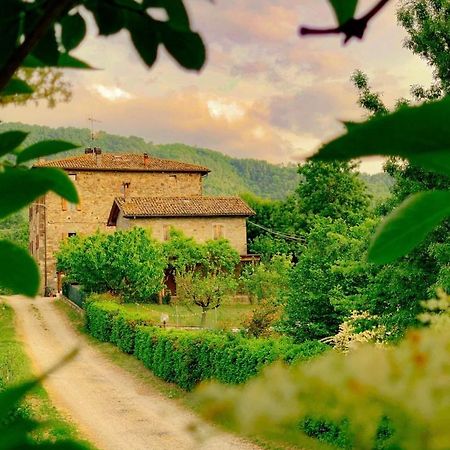 Appartamento La Teggia Monte San Pietro Esterno foto